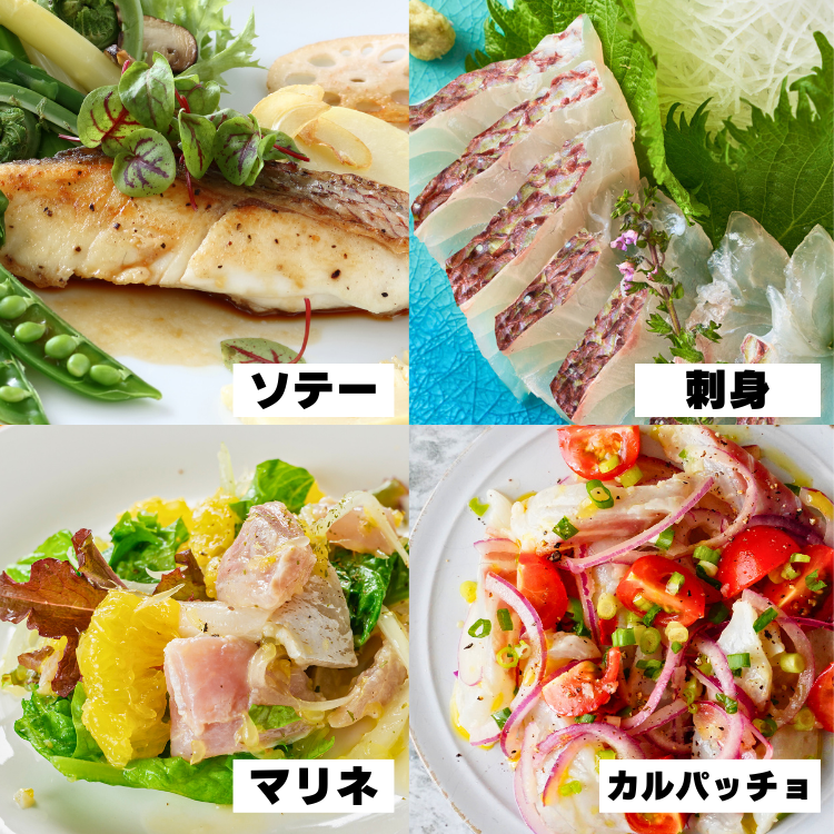 【父の日早割】天海真鯛フィーレ 2種セット600g