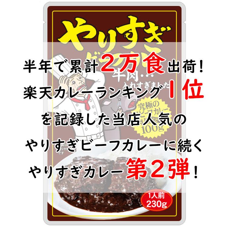 やりすぎポークカレー 2人前 230g×2パック(豚肉100g/1パック) - 築地わだつみ