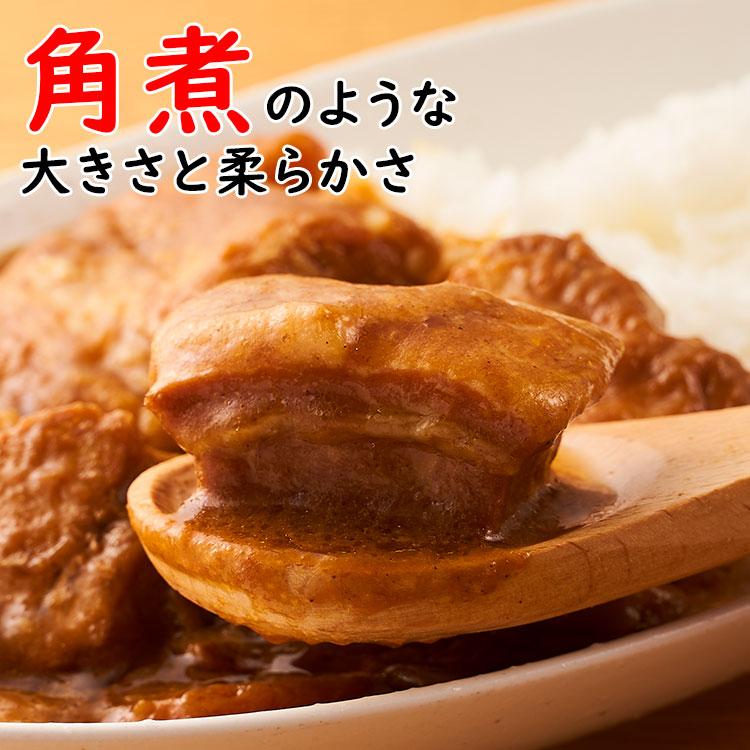 やりすぎポークカレー 2人前 230g×2パック(豚肉100g/1パック) - 築地わだつみ