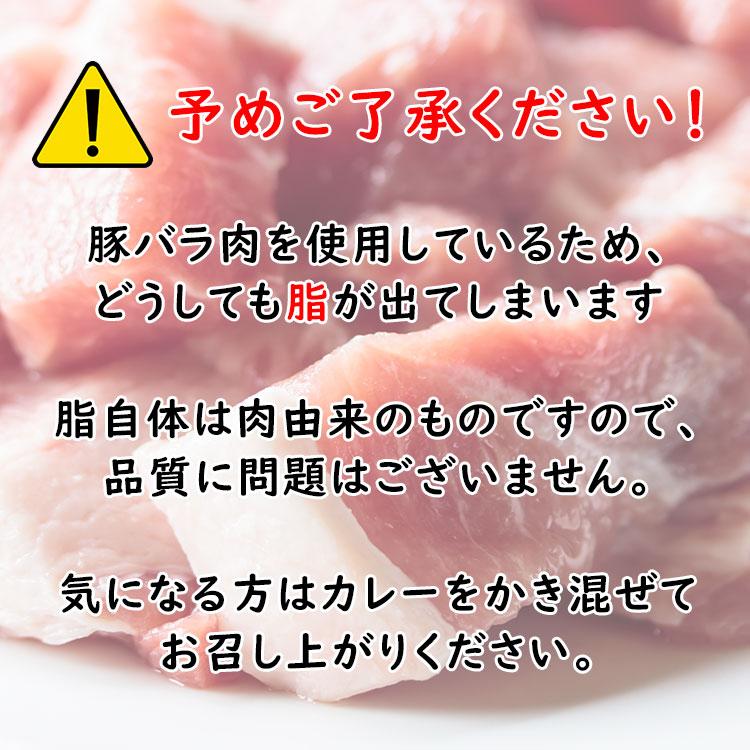 やりすぎポークカレー 2人前 230g×2パック(豚肉100g/1パック) - 築地わだつみ