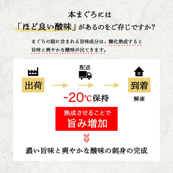 本マグロ 中トロ・赤身 柵 360g【頭肉プレゼント中】 - 築地わだつみ