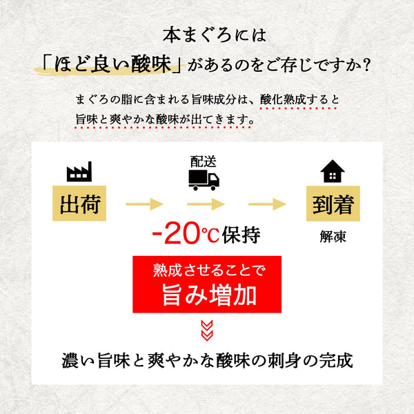 本マグロ 大トロ・中トロ・赤身 柵 510g【ネギトロプレゼント中】 - 築地わだつみ