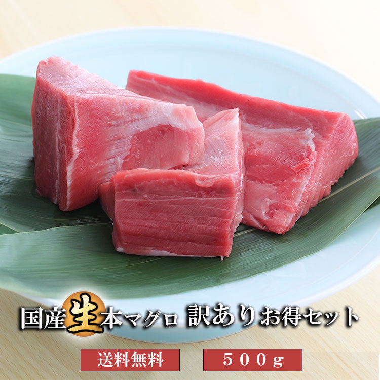 生本マグロ – 築地わだつみ