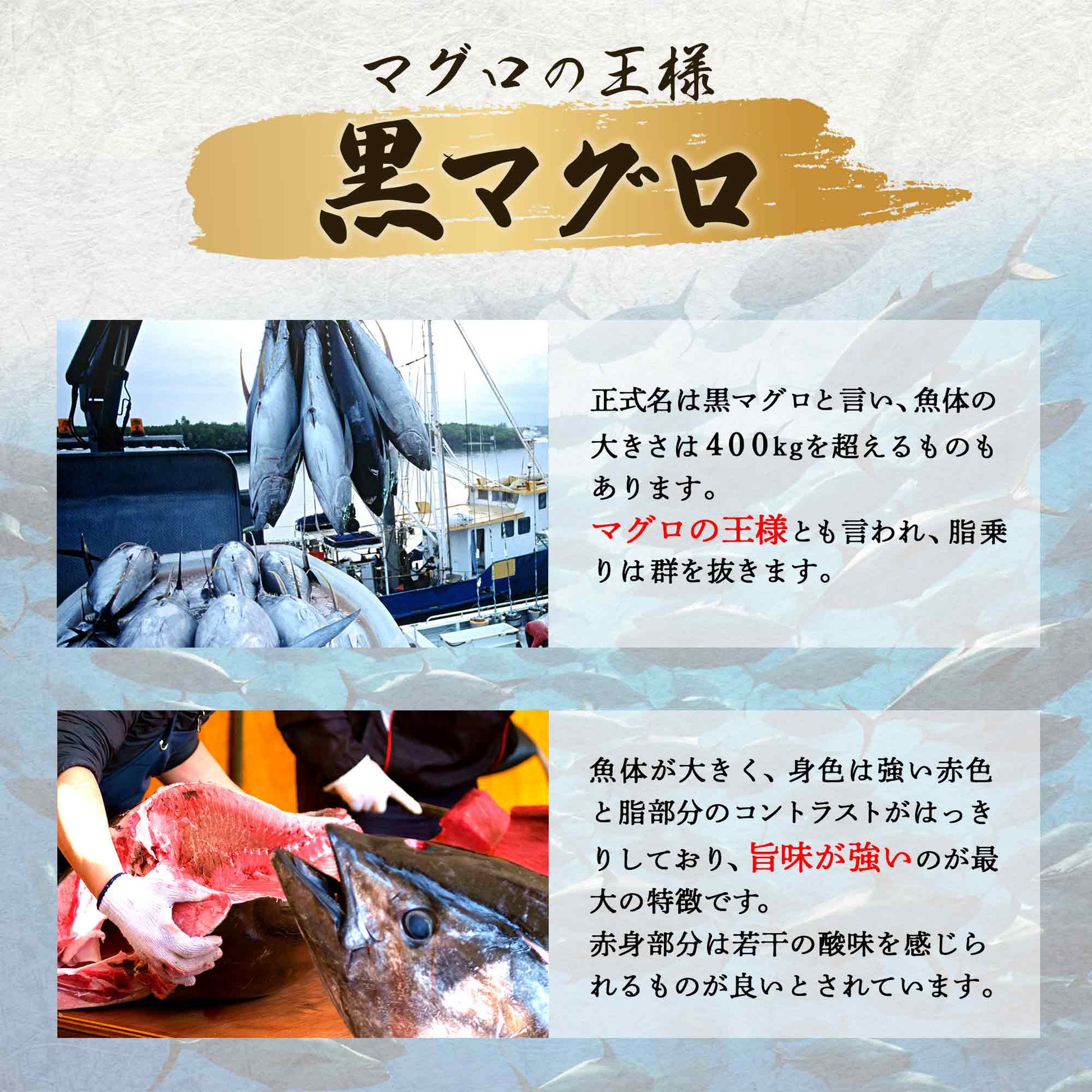 本マグロ 赤身 柵 【頭肉プレゼント中】 - 築地わだつみ