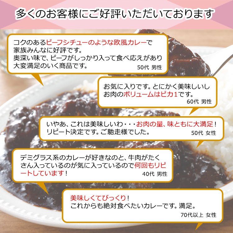 やりすぎビーフカレー 2人前 (230g×2パック) - 築地わだつみ