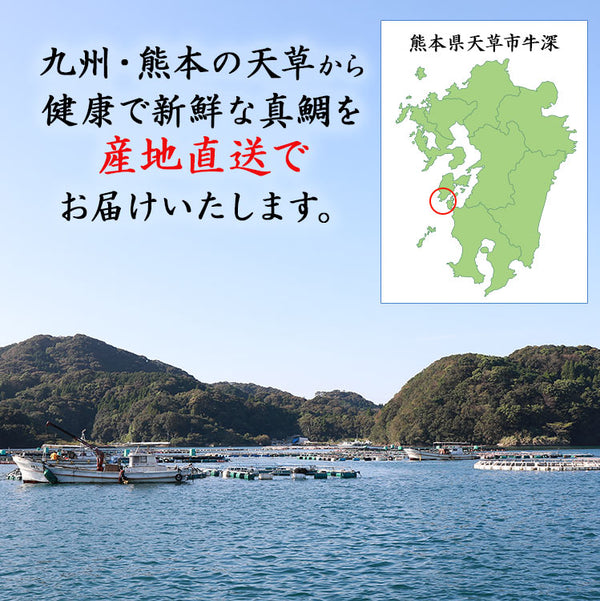 天草産 鯛しゃぶ 鍋セット 3人前